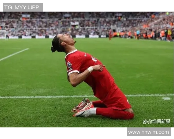 努涅斯在赛场上的崛起与挑战解析,如何成为足球界的新星