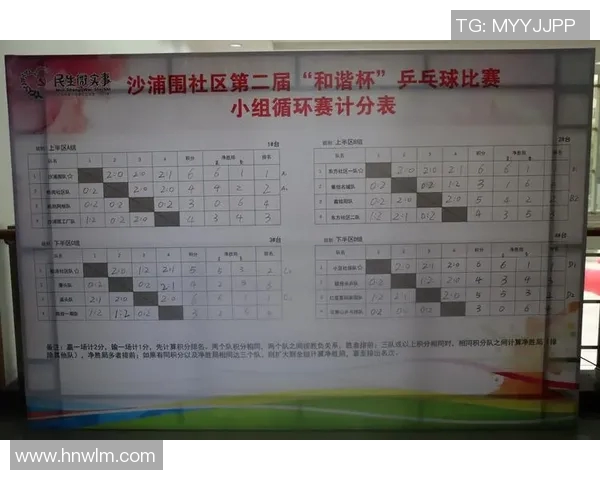 陈丽独家分享乒乓球技巧与心得体会助你提升球技的秘密宝典