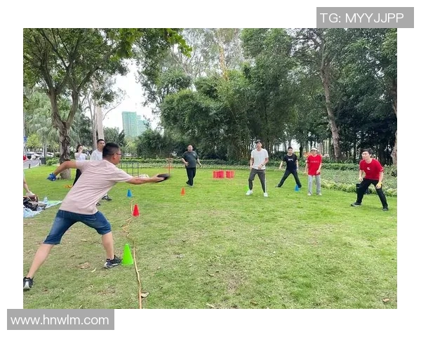 飞盘战术解析：深入剖析杭州飞盘队的进攻策略与技巧